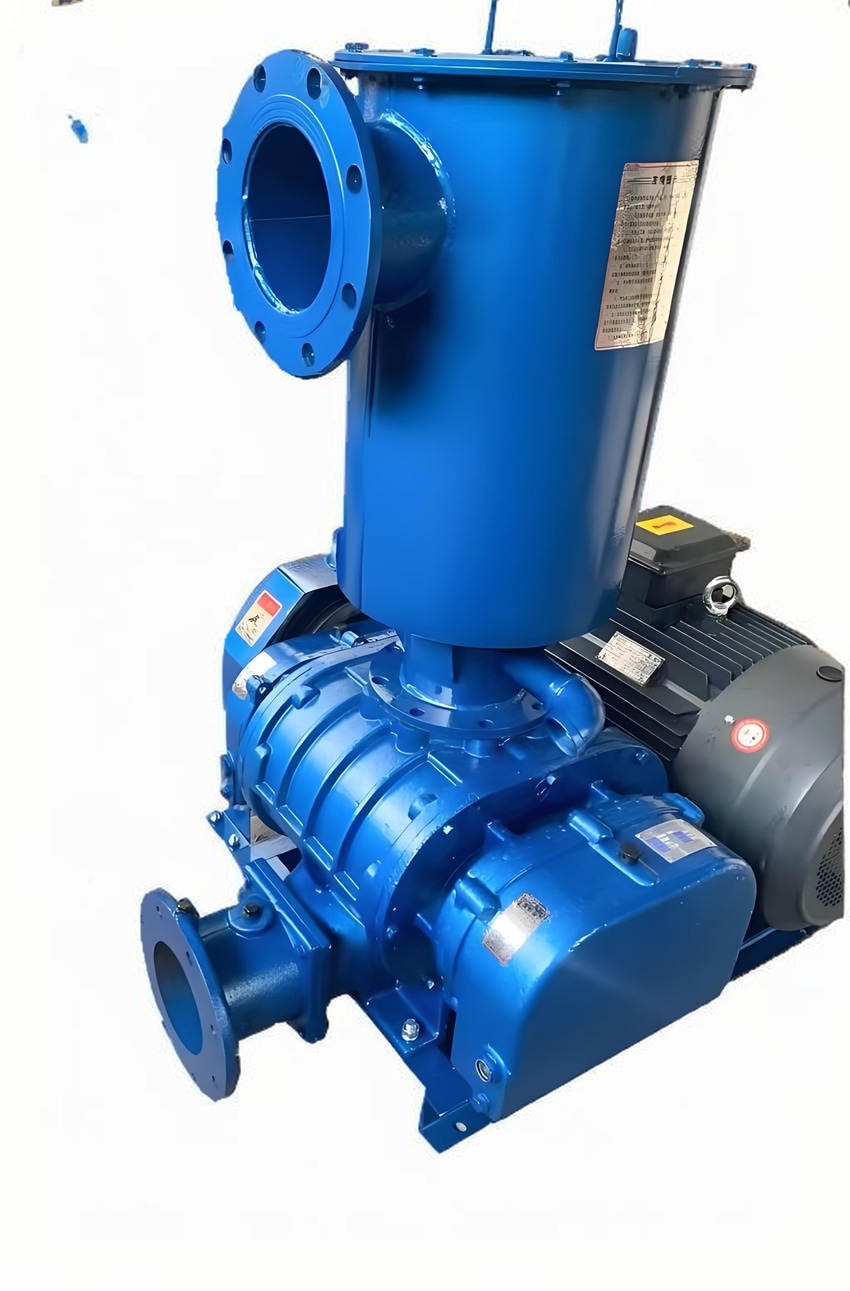 FJSR负压罗茨鼓风机